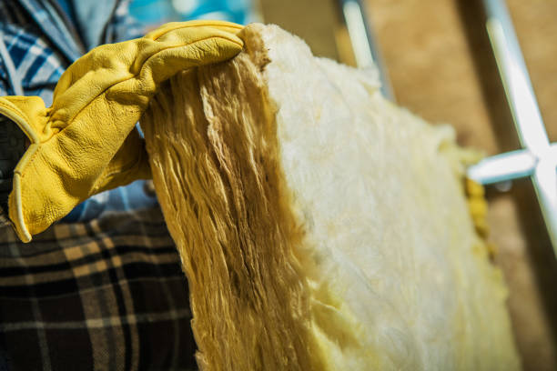 Best Specialized Insulation Services in Newhall, IA