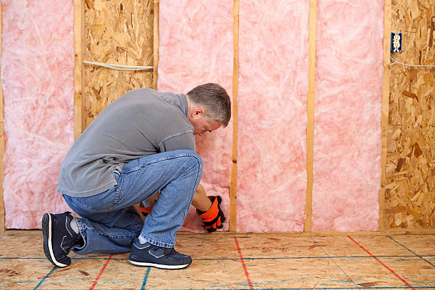 Best Spray Foam Insulation in Newhall, IA